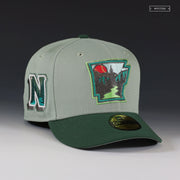 NORTH ARKANSAS NATURALS "THE WILD ROBOT" NEW ERA FITTED CAP