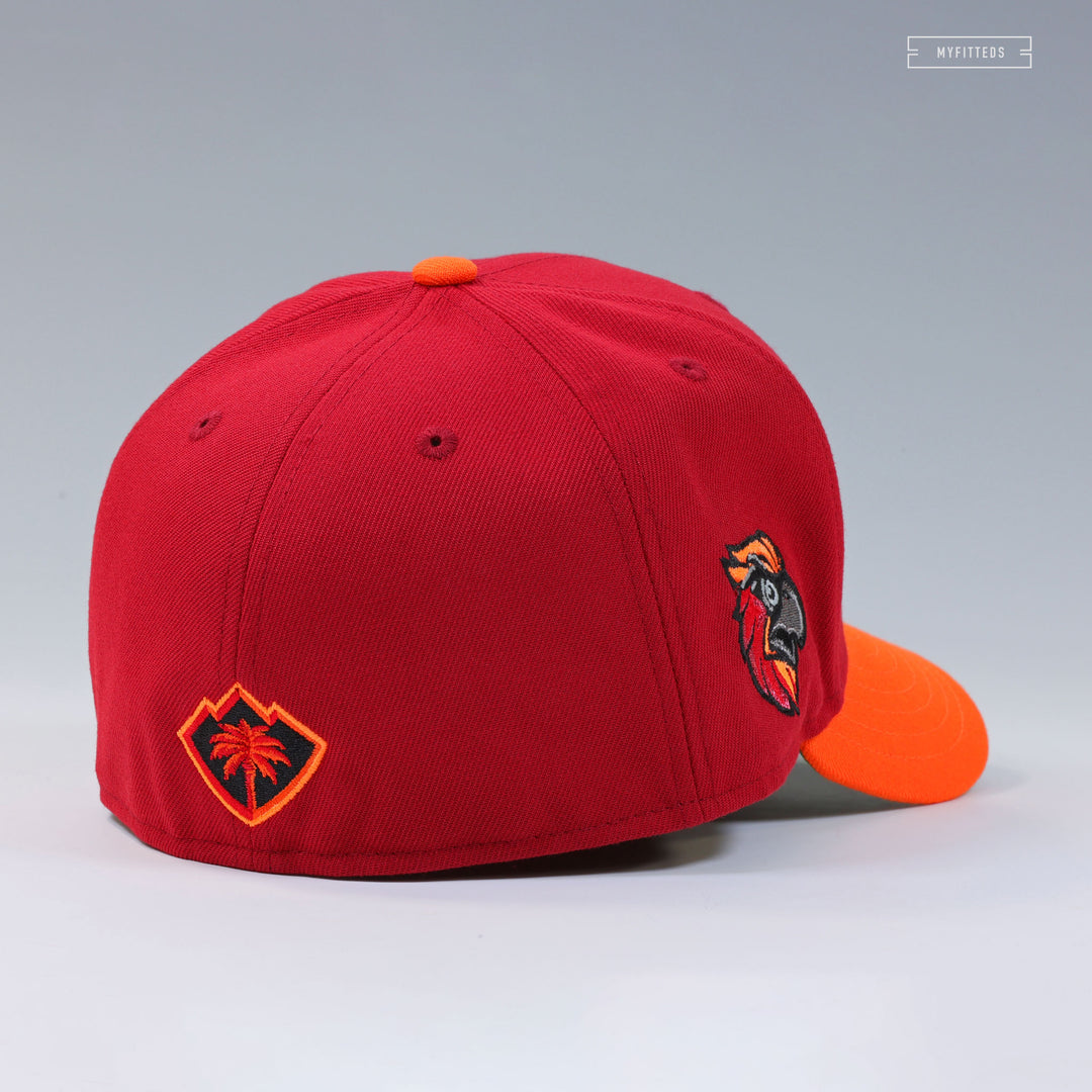 COACHELLA VALLEY FIREBIRDS FUEGO FAWKES THE PHOENIX HARRY POTTER