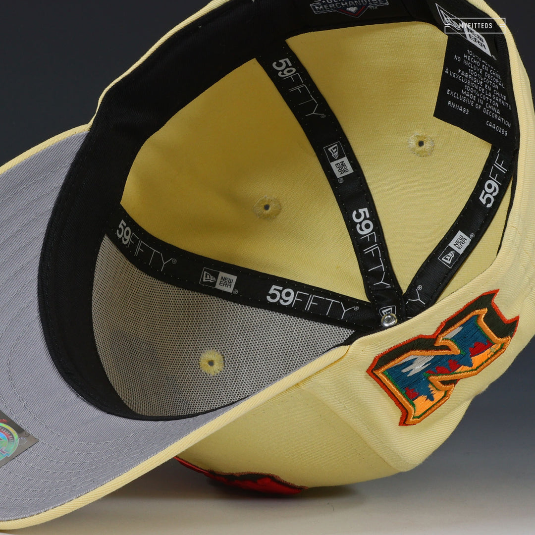 NORTHWEST ARKANSAS NATURALS MYSTERIOUS BENEDICT SOCIETY INSPIRED