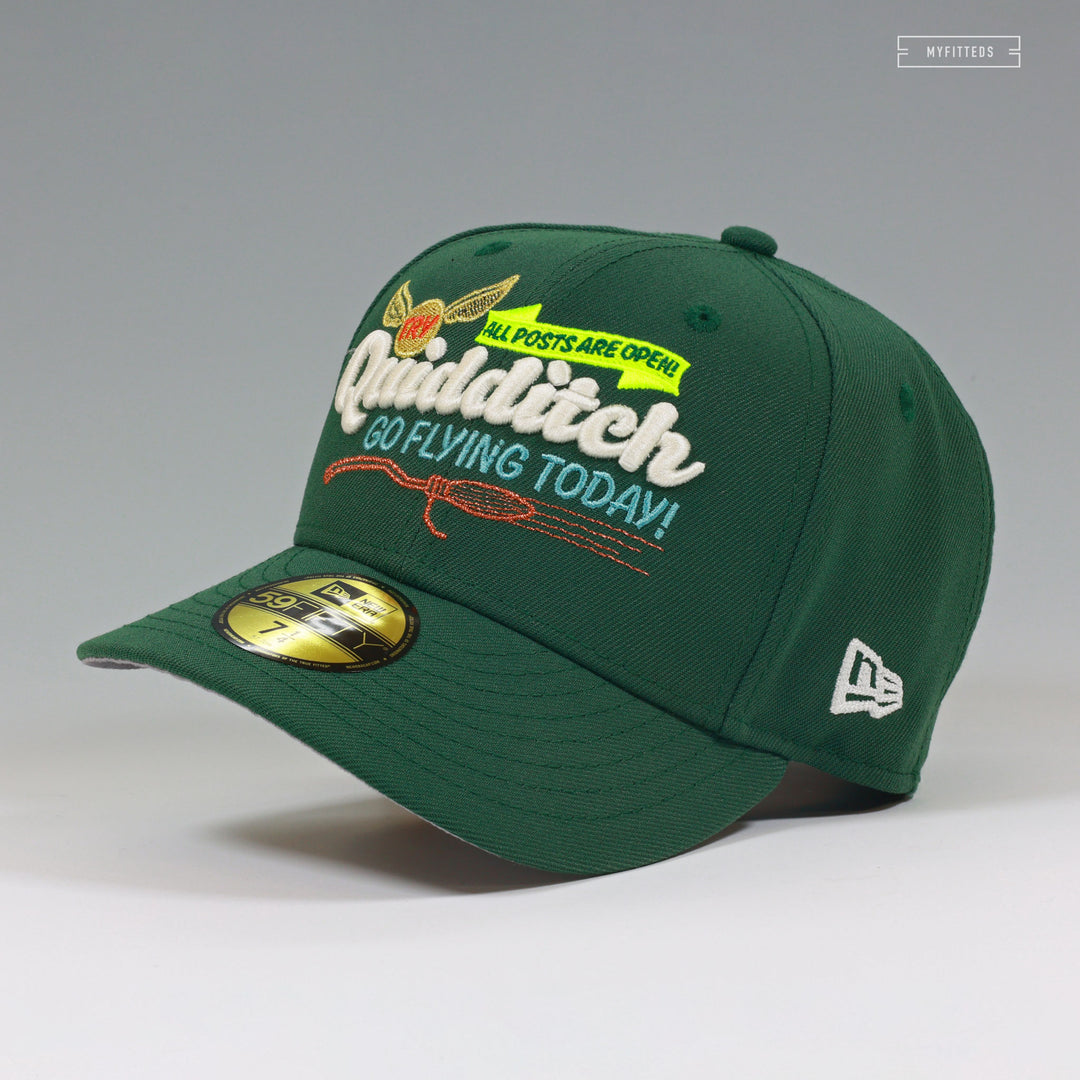 THE WIZARDING WORLD OF HARRY POTTER™ TRY QUIDDITCH GO FLYING TODAY