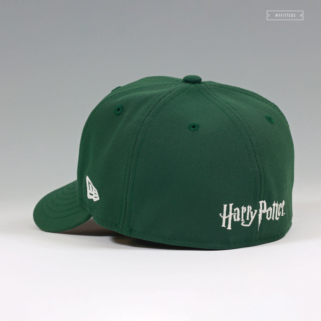 THE WIZARDING WORLD OF HARRY POTTER™ TRY QUIDDITCH GO FLYING  display picture 1