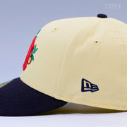 NEW YORK YANKEES C.C. SABATHIA 52 IN 25 HALL OF FAME UNDER THE GRAPEFRUIT TREE NEW ERA FITTED CAP