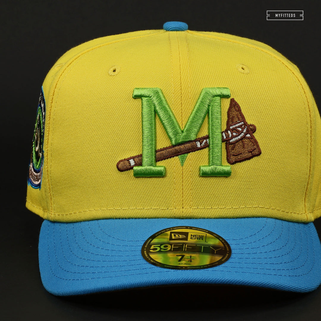 MISSISSIPPI BRAVES SOUTHERN LEAGUE MARGE SIMPSON DUNK SB INSPIRED