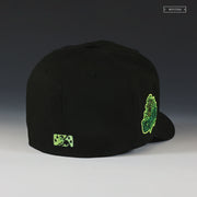 EUGENE EMERALDS 2014 NW LEAGUE ASG "THE LOCHNESS MONSTER WALKS" NEW ERA HAT