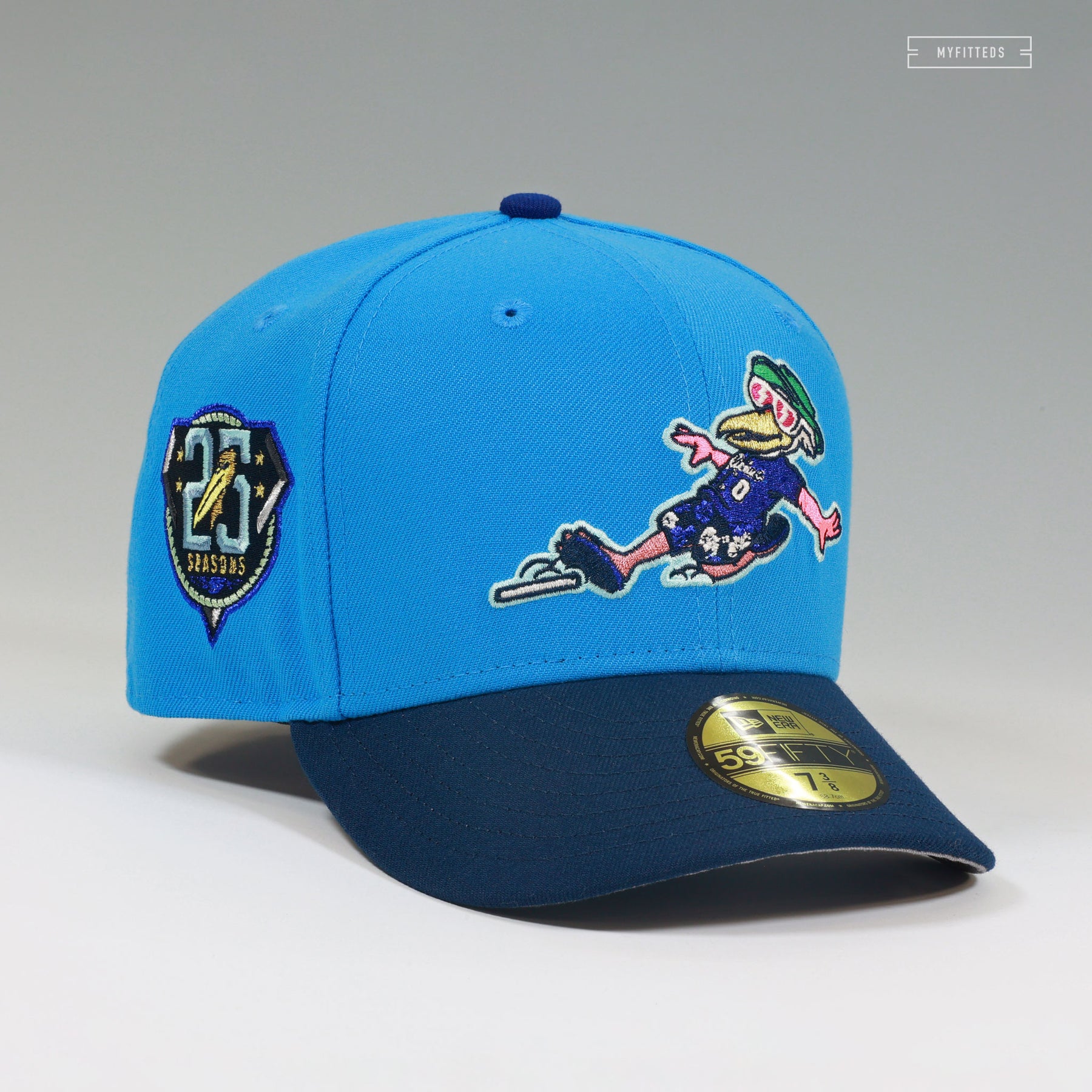 MYRTLE BEACH PELICANS 25TH ANNIVERSARY SPLASH MASCOT SLIDING NEW