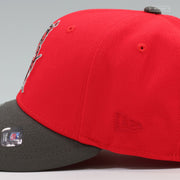 TAMPA BAY BUCCANEERS 1998 NFL DRAFT ALTERNATE SCARLET PEWTER NEW ERA FITTED CAP