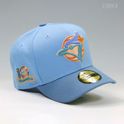 TORONTO BLUE JAYS 10TH & 20TH ANNIVERSARY DRAKE NOTHING WAS THE SAME INSPIRED NEW ERA CAP