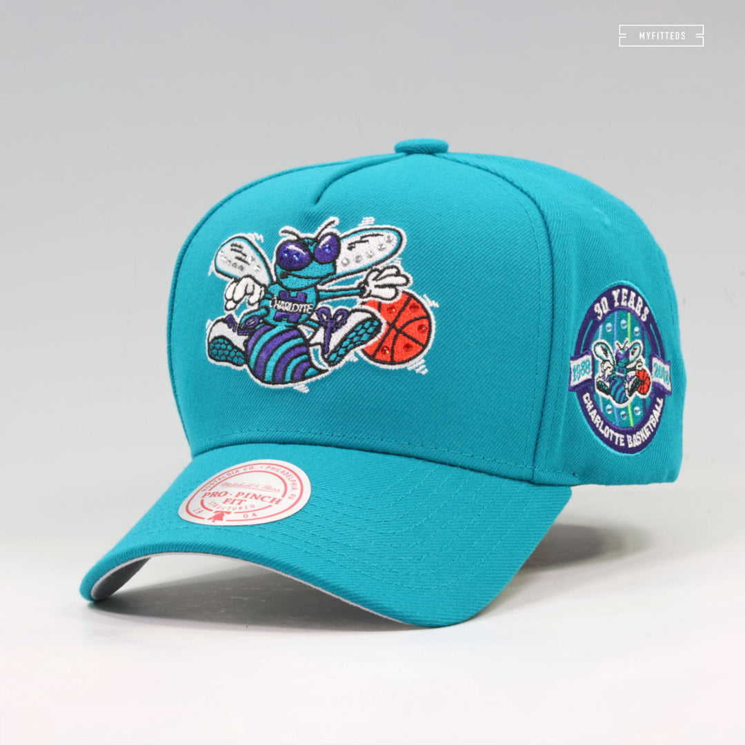 CHARLOTTE HORNETS 30TH ANNIVERSARY PRO-PINCH FIT GEMSTONES